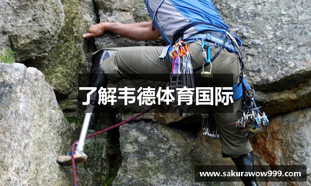 了解韦德体育国际